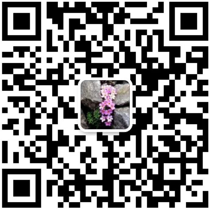 微信咨詢